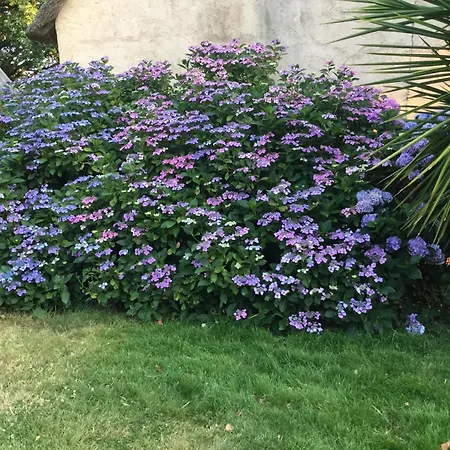 Chaumiere Authentique בית נופש Herbignac