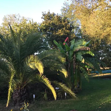 Chaumiere Authentique * Herbignac