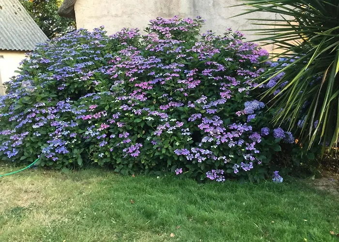 Chaumiere Authentique Ferienhaus Herbignac