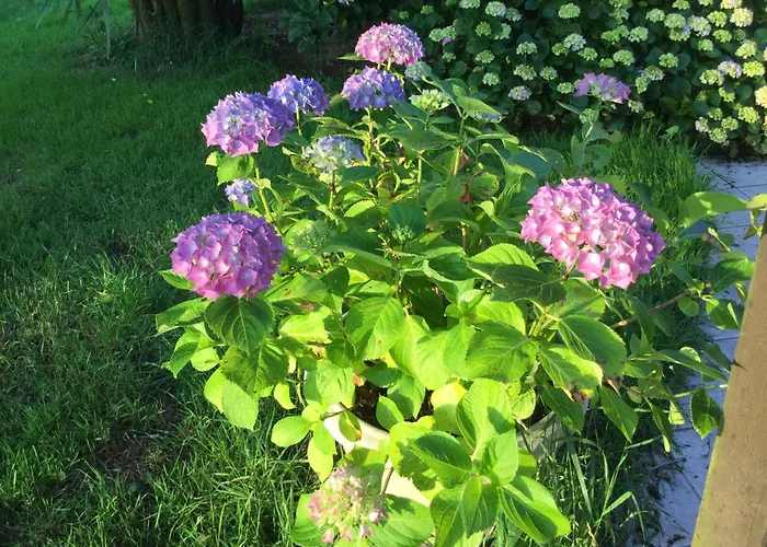 펜션 Chaumiere Authentique Herbignac